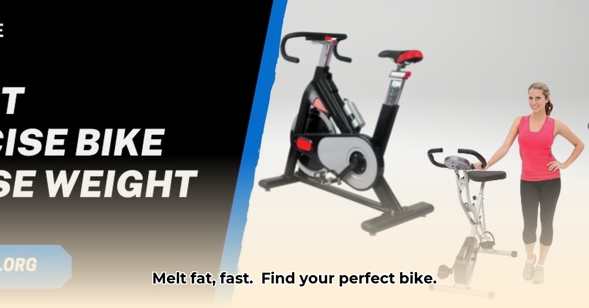 best-exercise-bike-for-weight-loss